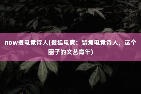 now搜电竞诗人(搜狐电竞：聚焦电竞诗人，这个圈子的文艺青年)