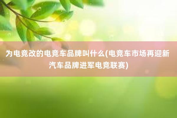 为电竞改的电竞车品牌叫什么(电竞车市场再迎新 汽车品牌进军电竞联赛)