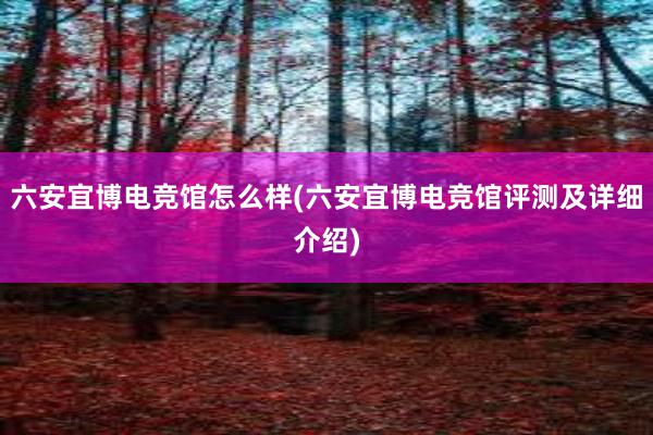 六安宜博电竞馆怎么样(六安宜博电竞馆评测及详细介绍)