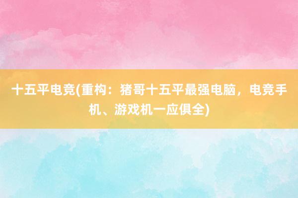 十五平电竞(重构：猪哥十五平最强电脑，电竞手机、游戏机一应俱全)