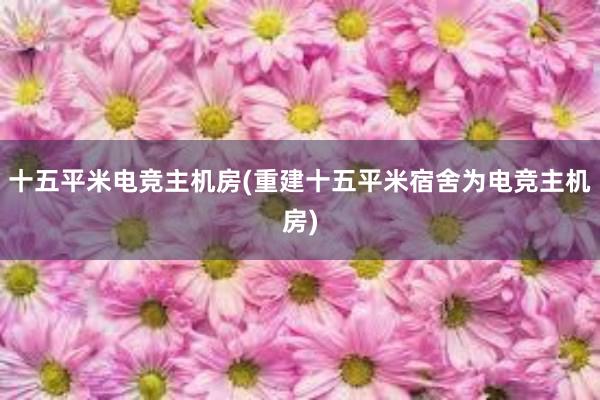 十五平米电竞主机房(重建十五平米宿舍为电竞主机房)