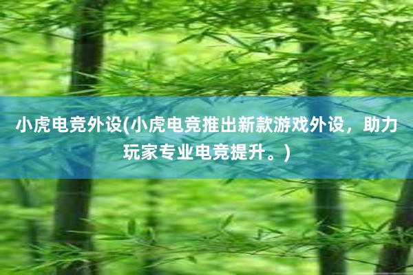 小虎电竞外设(小虎电竞推出新款游戏外设，助力玩家专业电竞提升。)