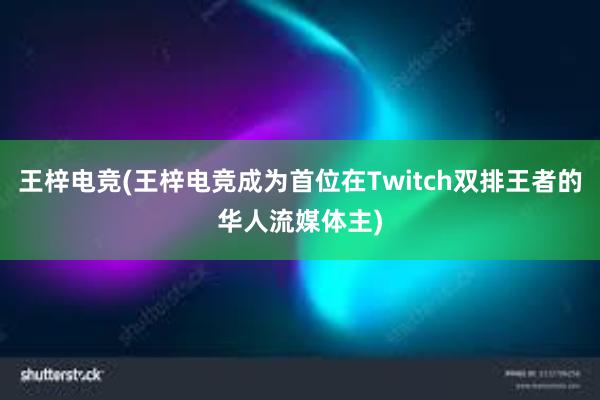 王梓电竞(王梓电竞成为首位在Twitch双排王者的华人流媒体主)