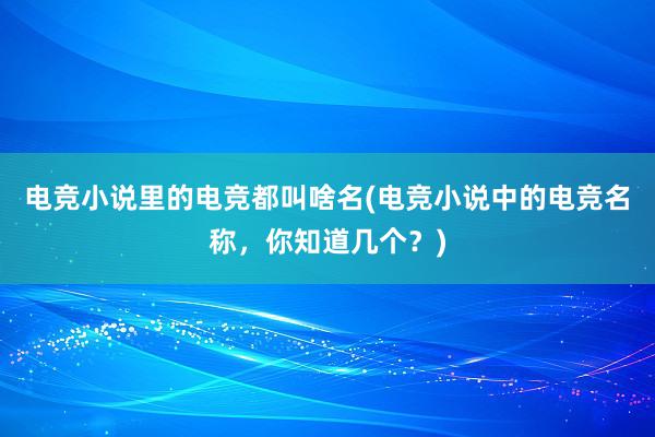 电竞小说里的电竞都叫啥名(电竞小说中的电竞名称，你知道几个？)