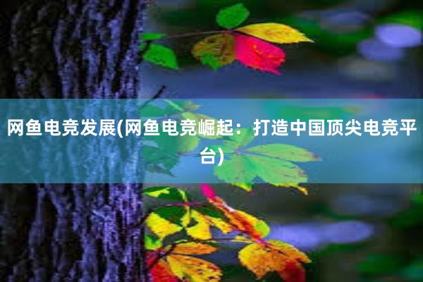 网鱼电竞发展(网鱼电竞崛起：打造中国顶尖电竞平台)