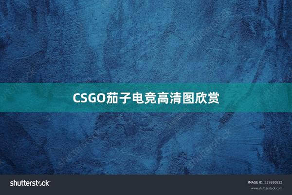 CSGO茄子电竞高清图欣赏