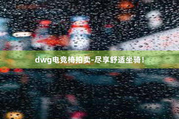 dwg电竞椅拍卖-尽享舒适坐骑！