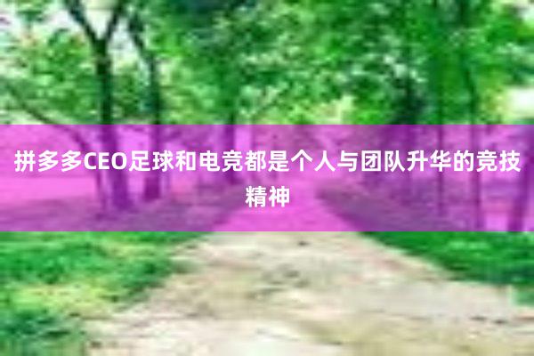 拼多多CEO足球和电竞都是个人与团队升华的竞技精神