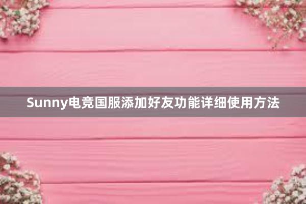 Sunny电竞国服添加好友功能详细使用方法