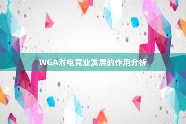 WGA对电竞业发展的作用分析