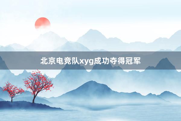 北京电竞队xyg成功夺得冠军