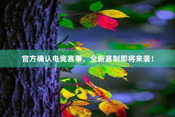 官方确认电竞赛事，全新赛制即将来袭！