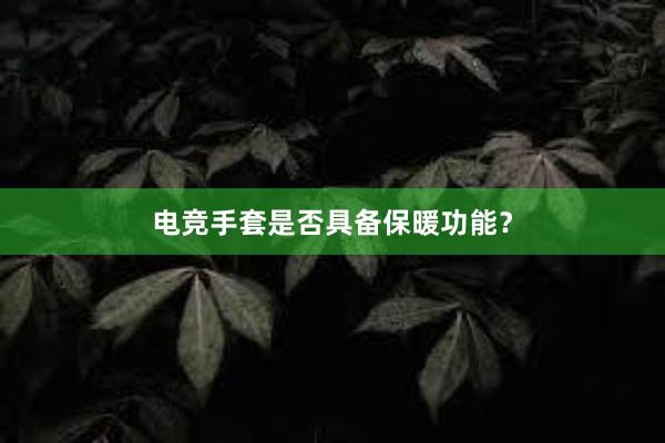 电竞手套是否具备保暖功能？