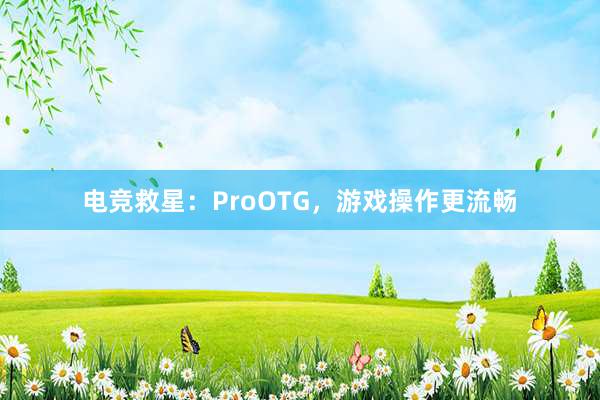 电竞救星：ProOTG，游戏操作更流畅