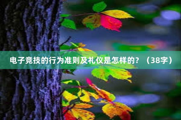 电子竞技的行为准则及礼仪是怎样的？（38字）