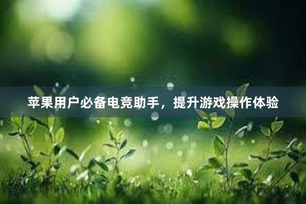 苹果用户必备电竞助手，提升游戏操作体验