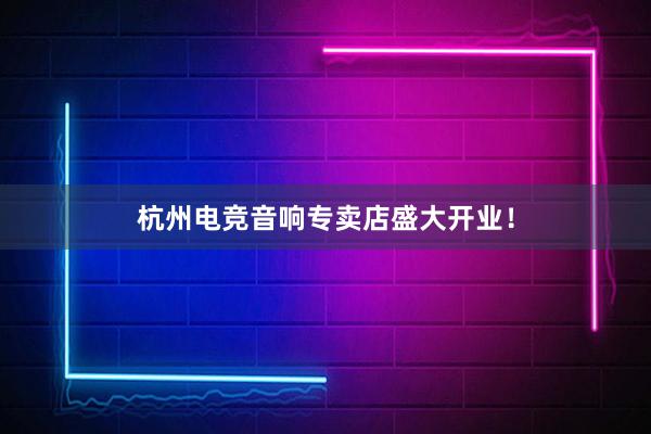 杭州电竞音响专卖店盛大开业！